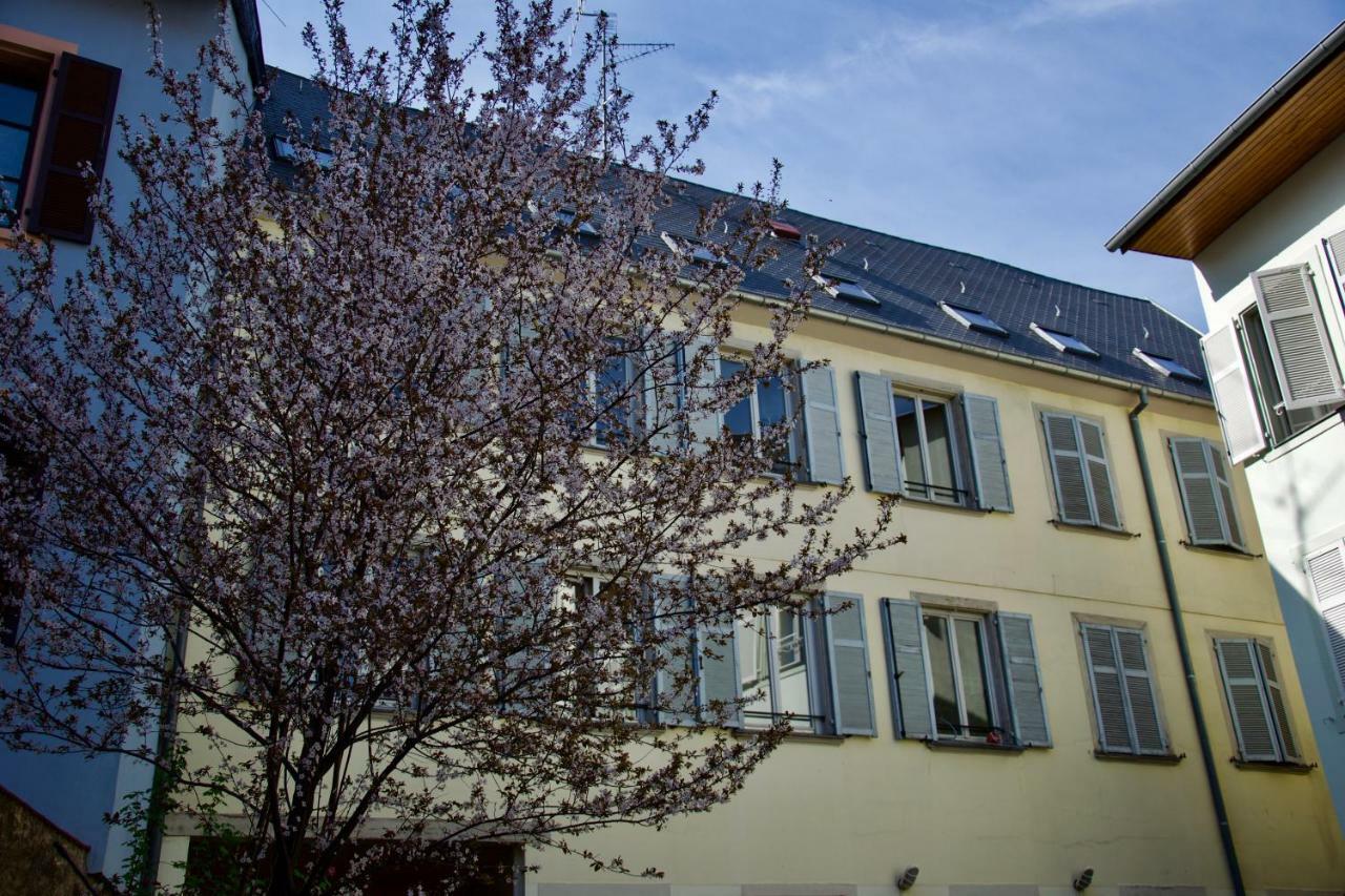 Appartement 3 Pieces, Krutenau, Parking Prive Strasbourg Exterior foto