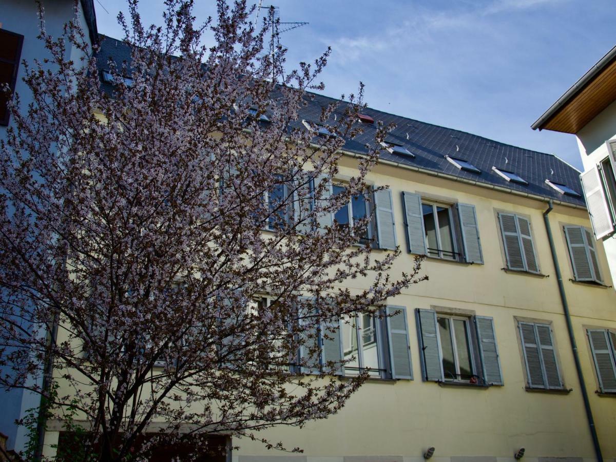 Appartement 3 Pieces, Krutenau, Parking Prive Strasbourg Exterior foto